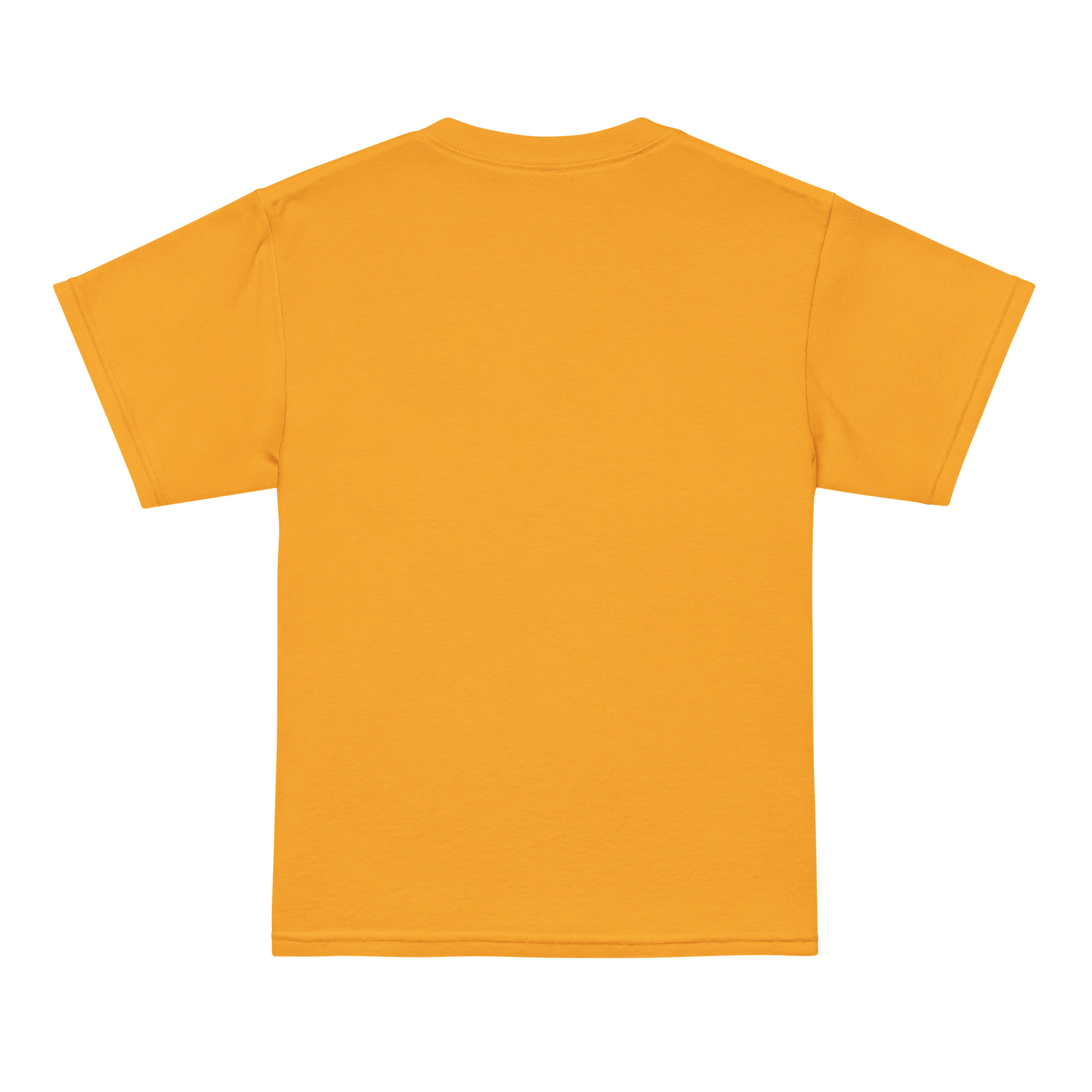 youth-sports-tee-gold-back-68f36fed04b50.jpg